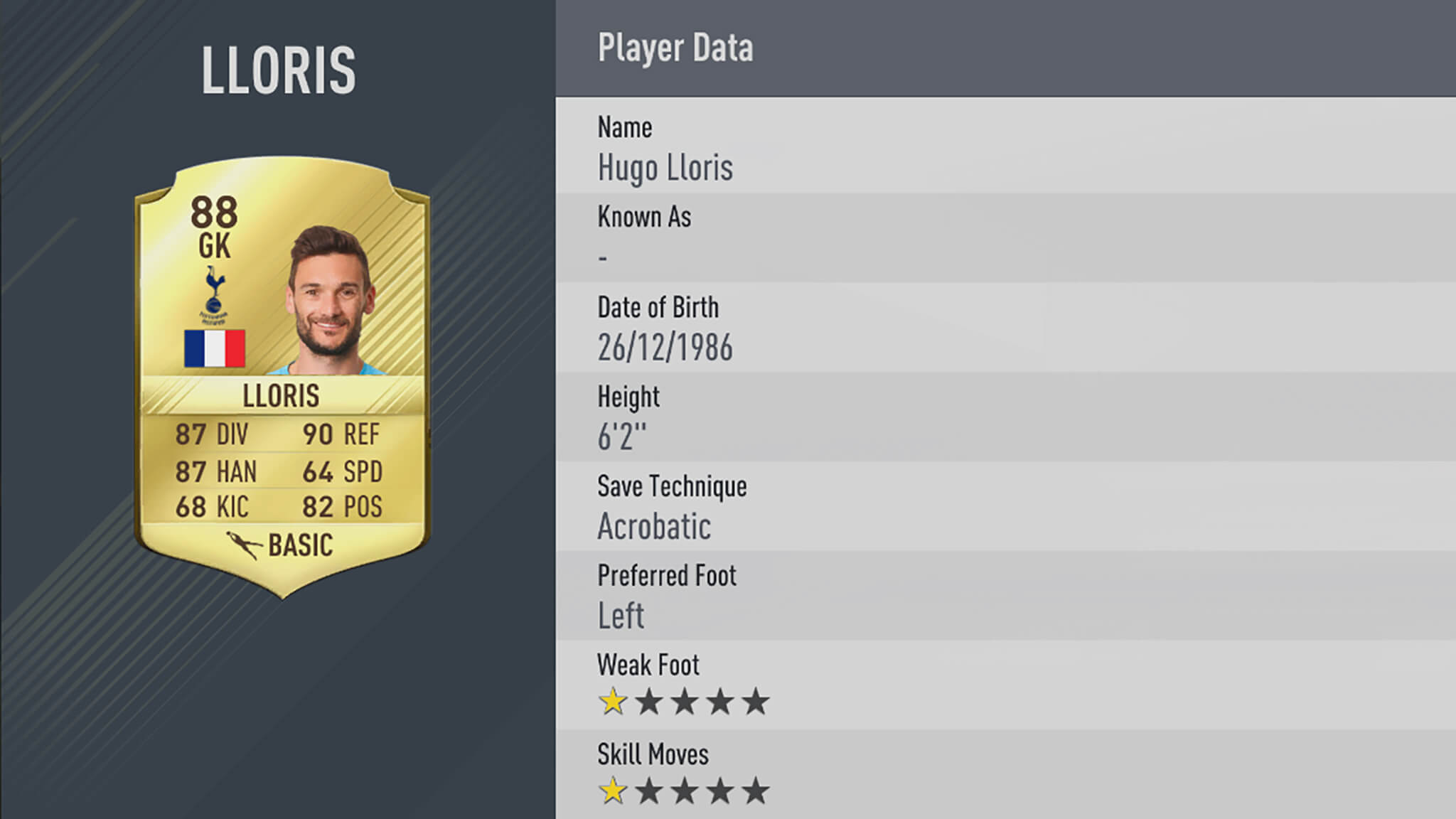 Hugo Lloris